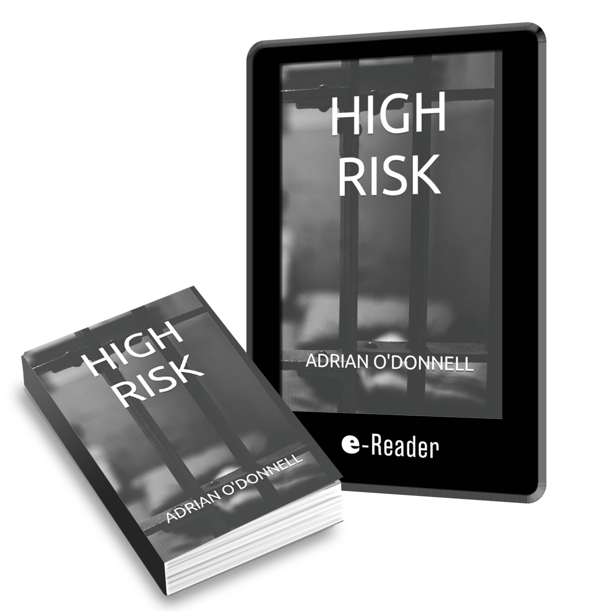 High Risk book cover